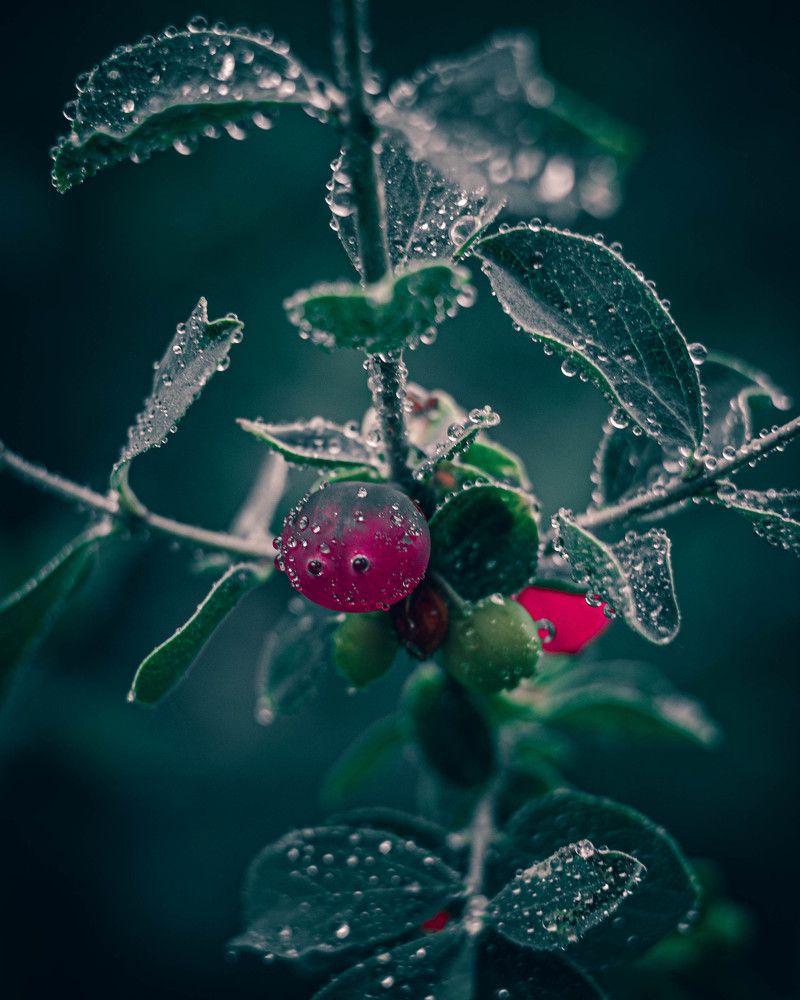 Доброе утро!)