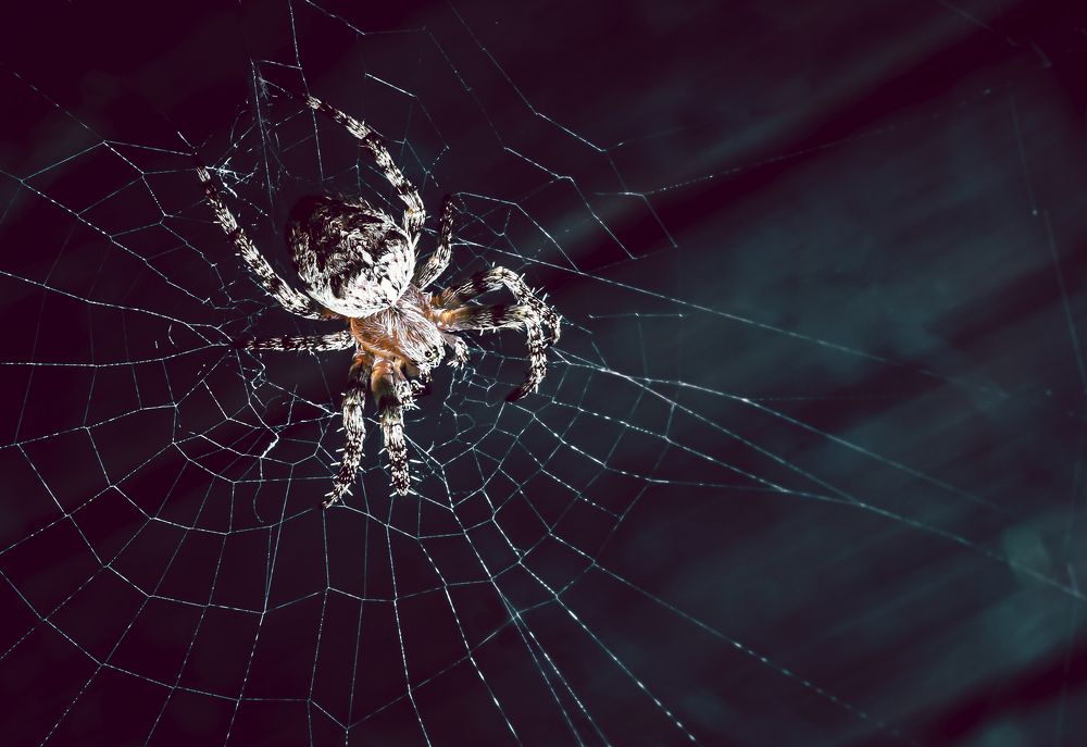 Photograph by Виктор Степанов