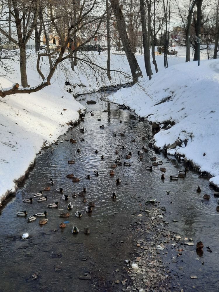 Photograph by Ириша Гайдель