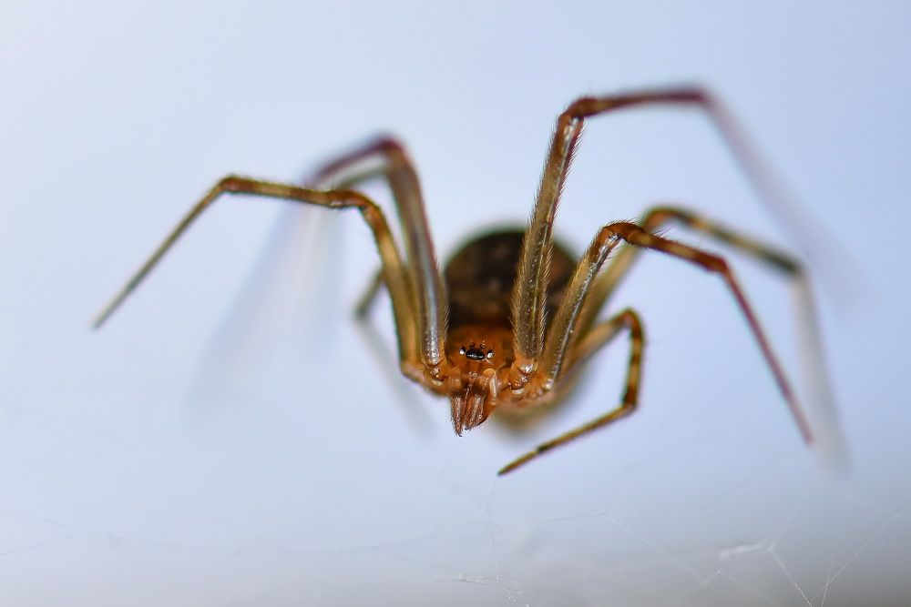 Photograph by Сергей