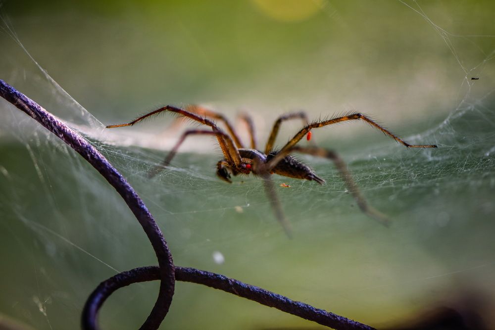 Photograph by Сергей