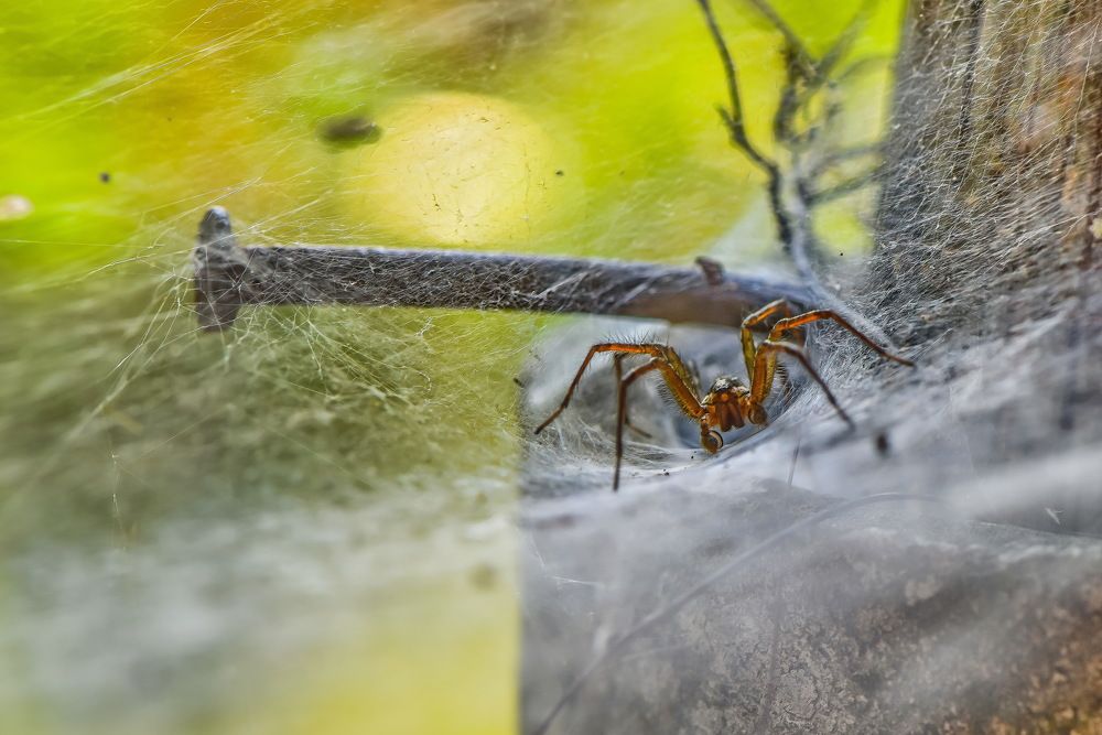 Photograph by Сергей