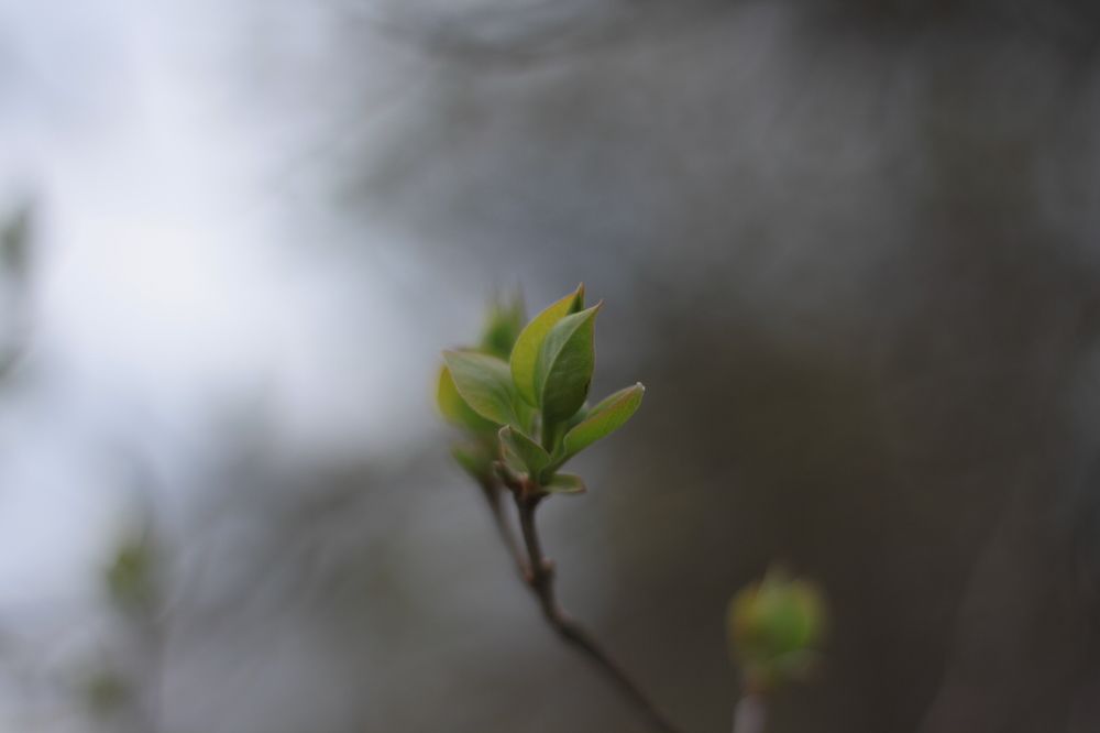 Photograph by Алексей