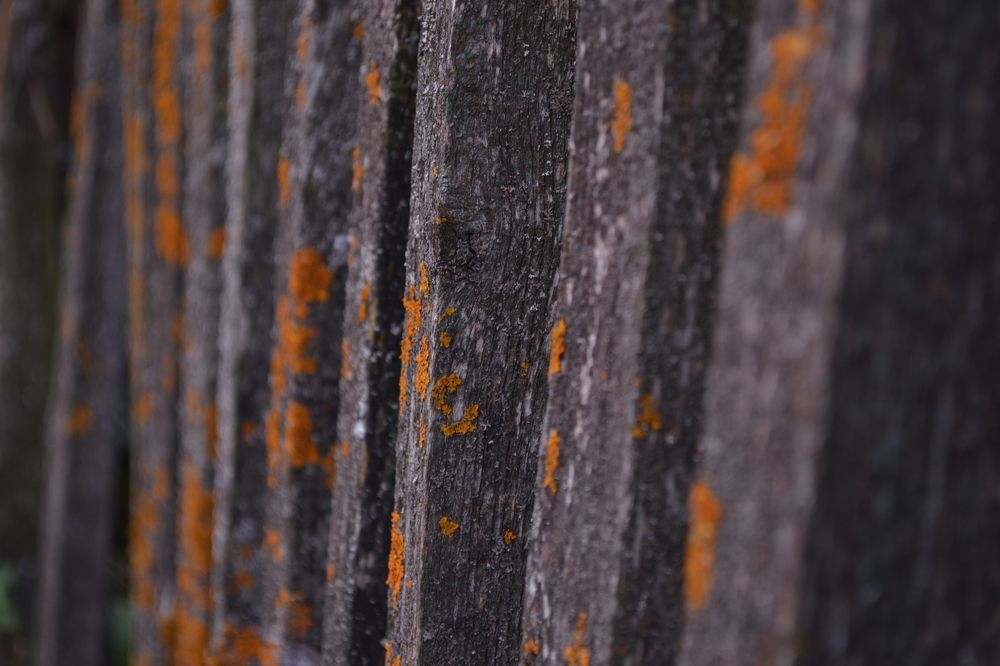 Photograph by Алексей