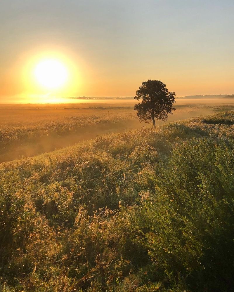 Photograph by Лариса