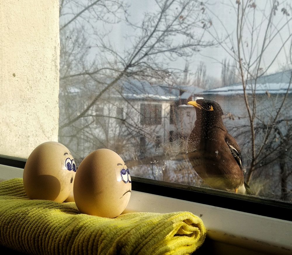 Photograph by Орынбек Асилбаев