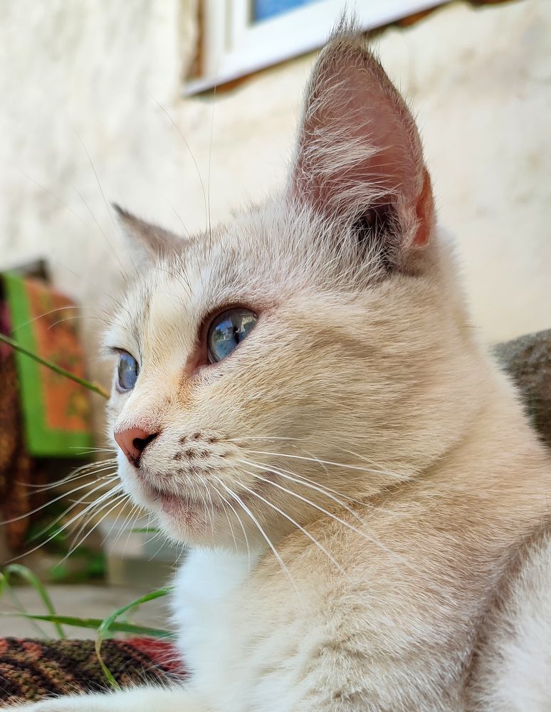 Photograph by Александр Ульянов