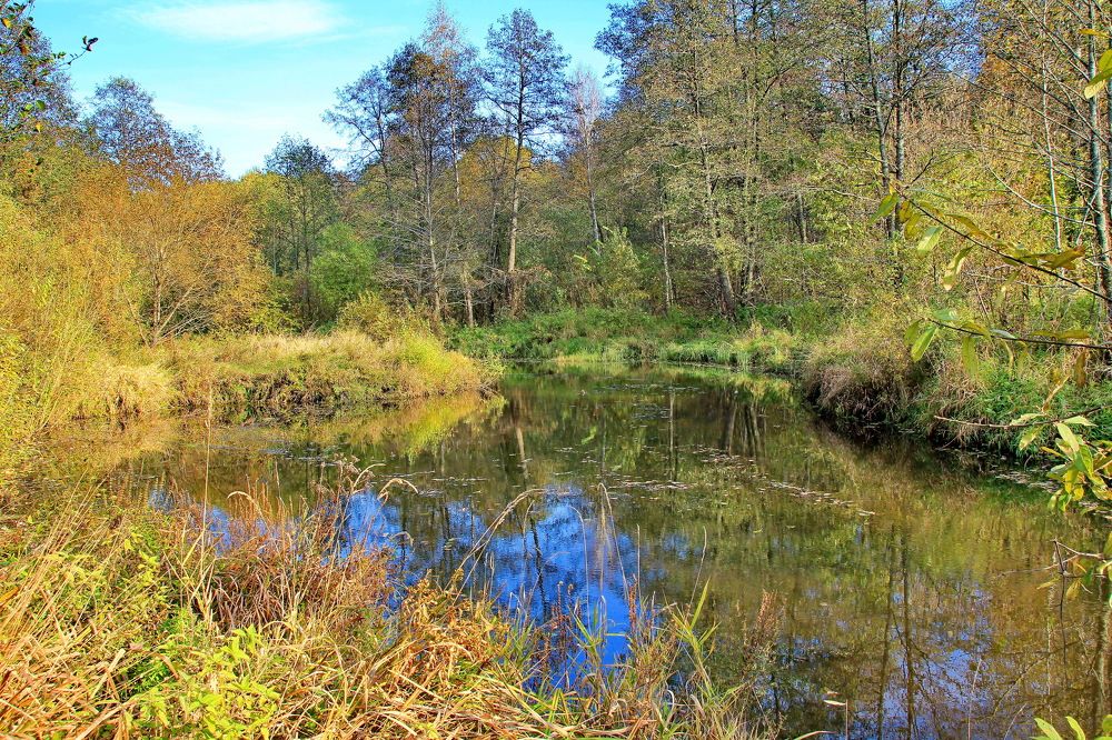 Photograph by Виталий Симоненков