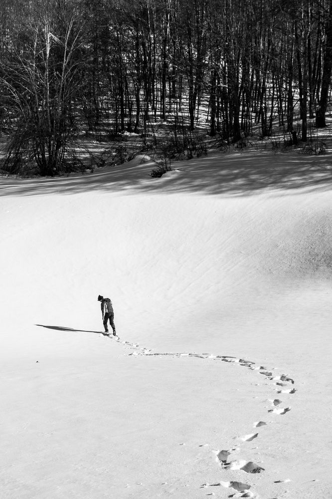 Alone in snow