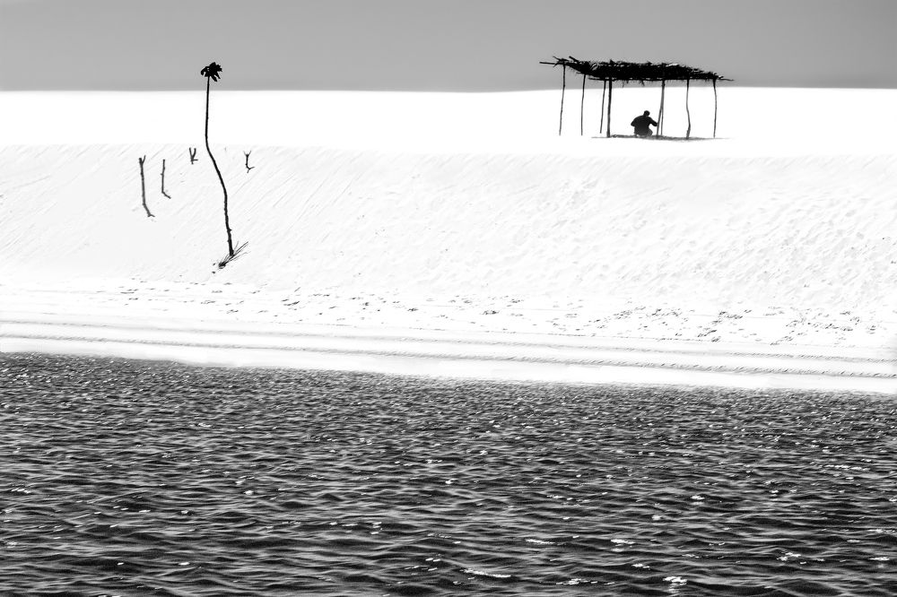 Ballad of a Lonely Heart