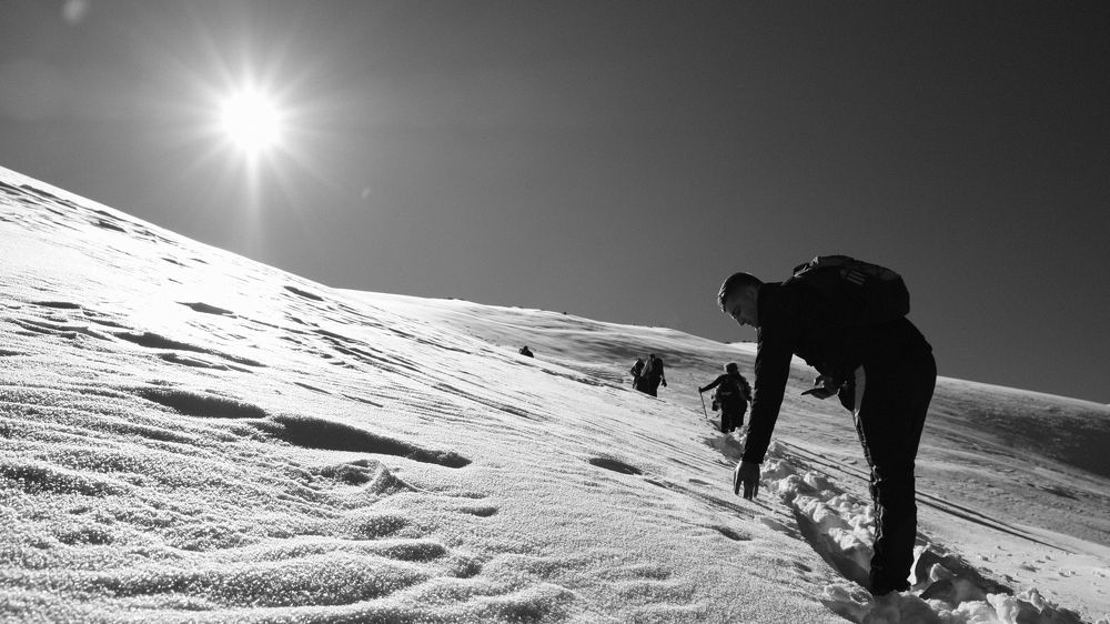 Фотография автора Renis Hyka