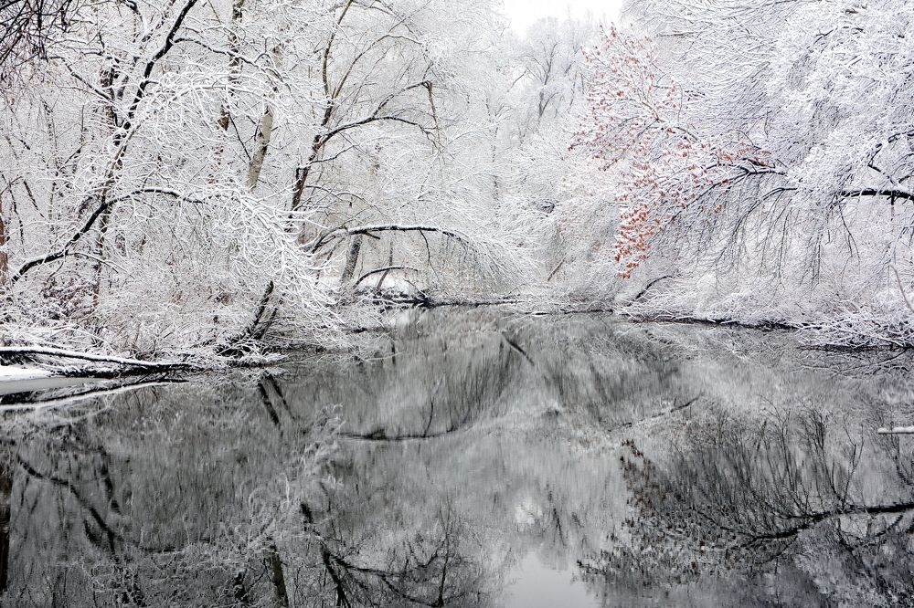 Photograph by Serhii