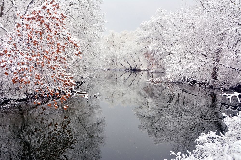 Photograph by Serhii