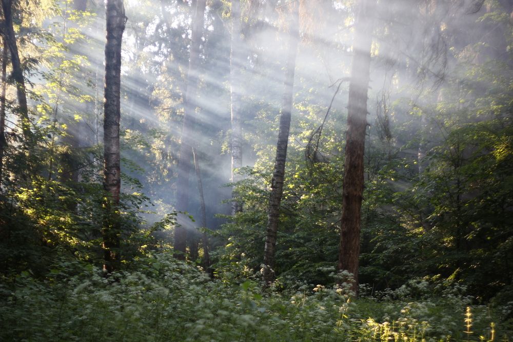 Photograph by Алексей