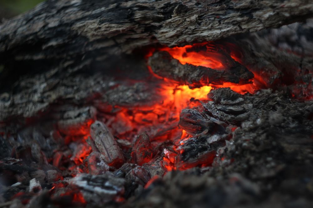 Photograph by Алексей