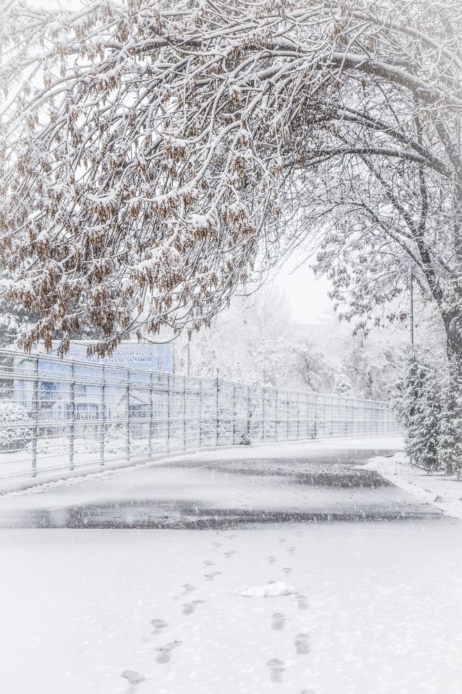 Photograph by Elvira Alikhanova