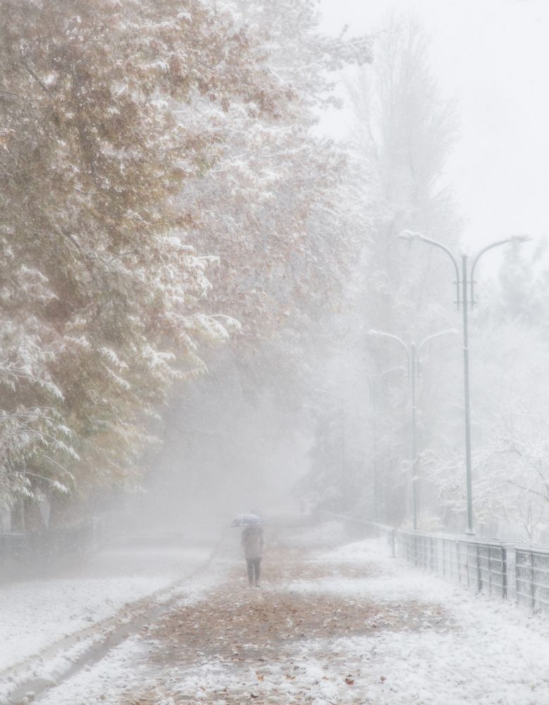 Photograph by Elvira Alikhanova