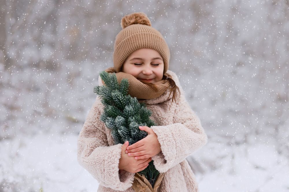 Зимнее мечты