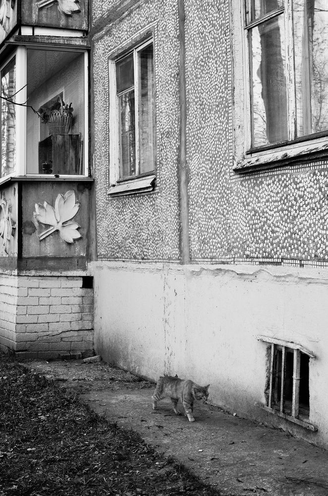 Photograph by Маженина Мария