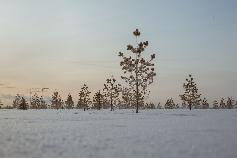Photograph by Владимир Рогозов