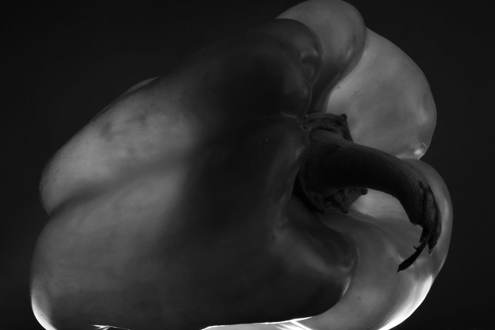 Photograph by Евгения Потемкина