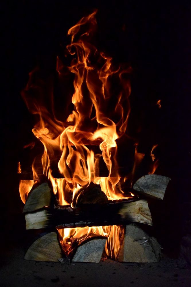 Гарцующий конь