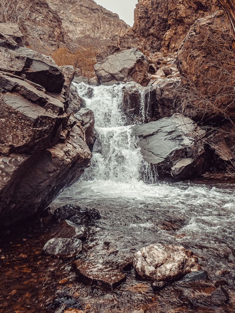 Photograph by Ольга Еженевская