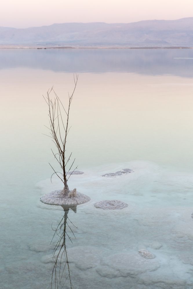 Photograph by Фирдаус Карипова