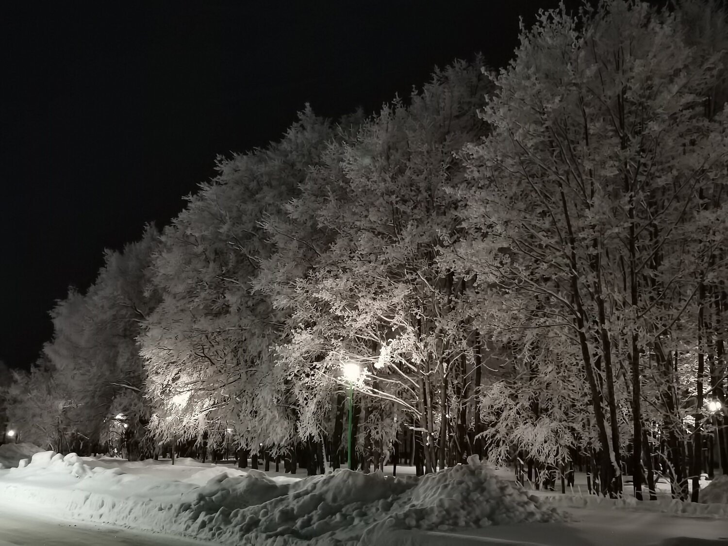 Photo #7095145