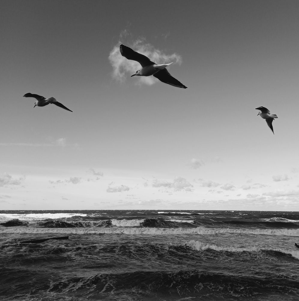 Photo #7095208