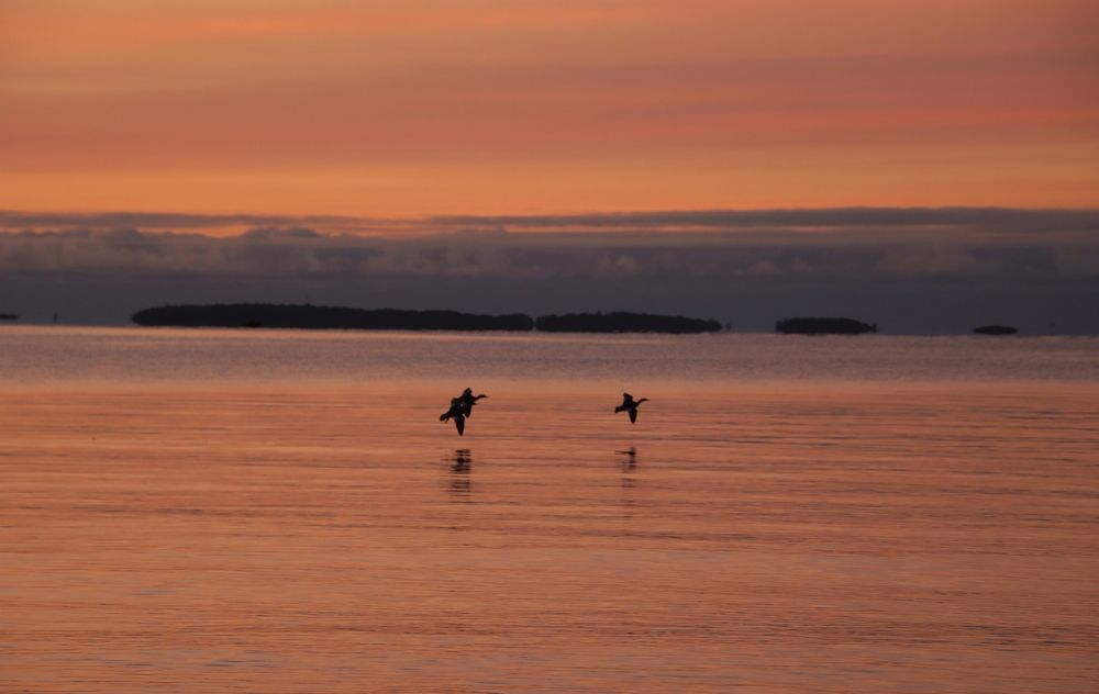 Photograph by Epp Tappel