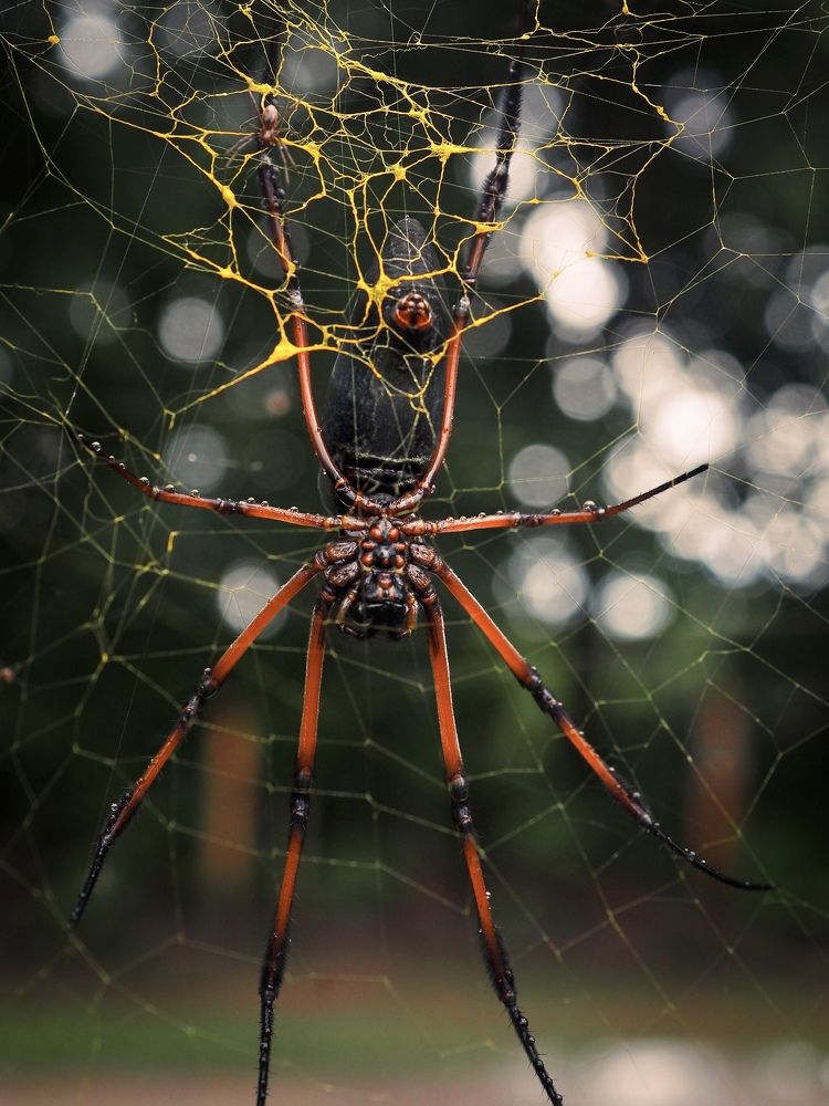 Photograph by Марина Сидоренко