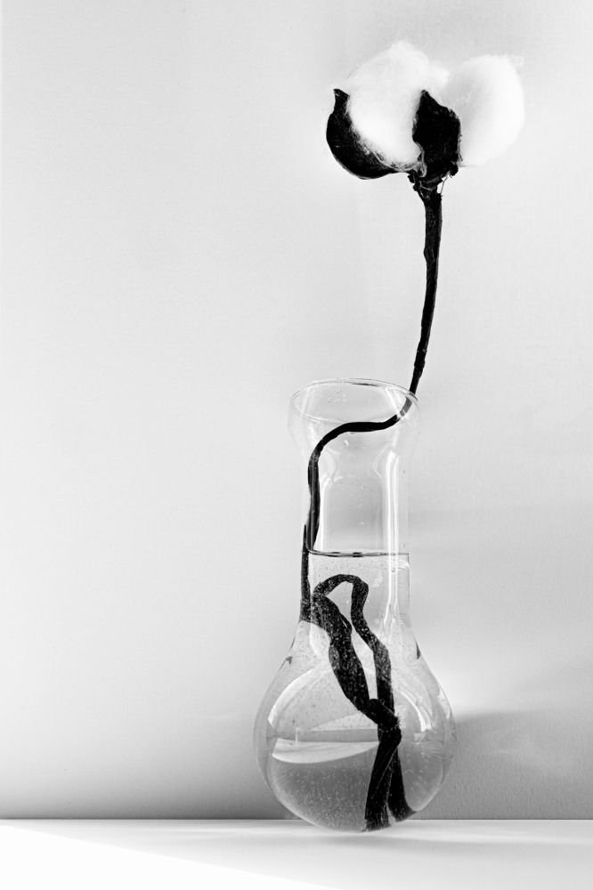 Photograph by Юлия Авдеева