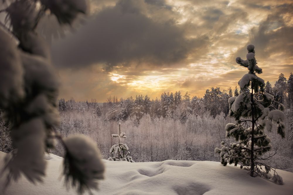 Photograph by Сергей Леканов