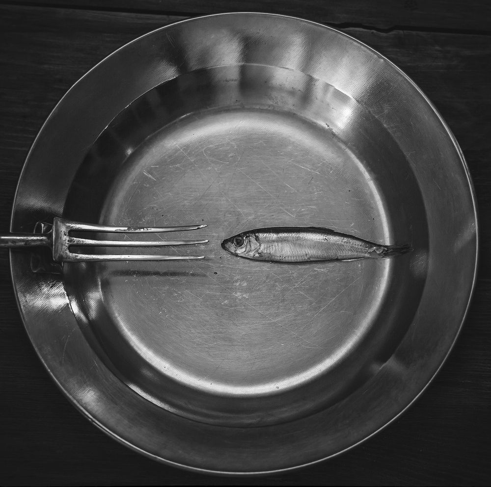 Photograph by Денис Сухачев