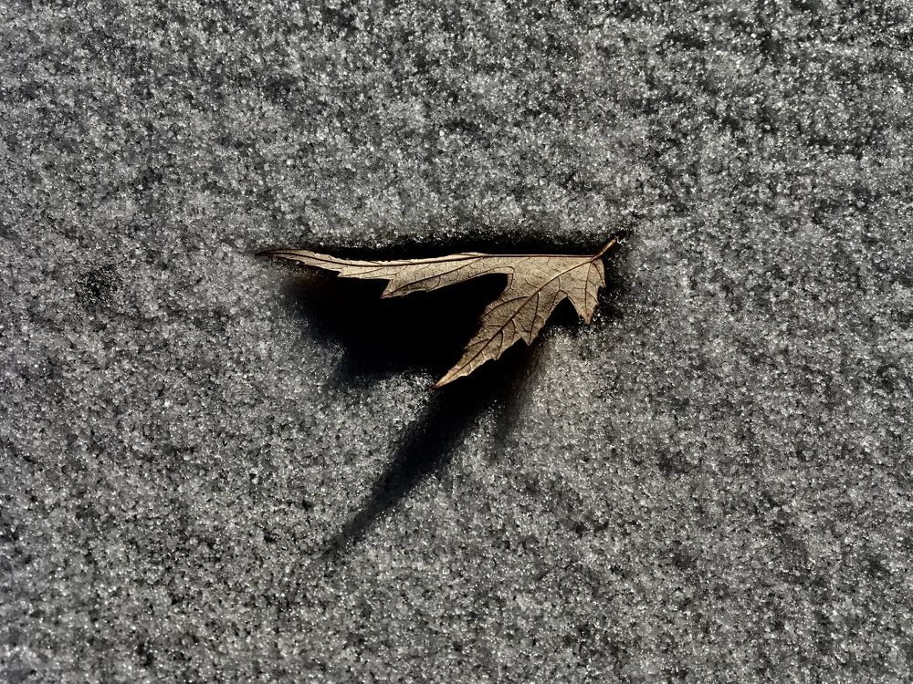 Photograph by Елена Ким