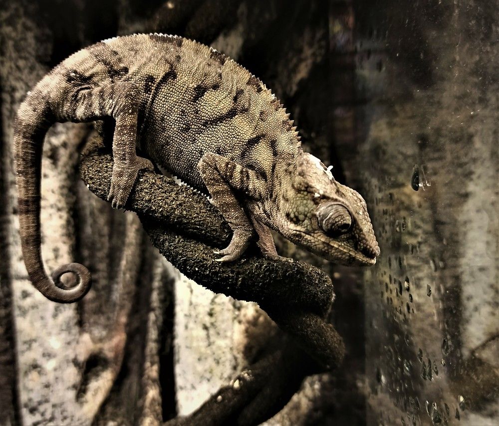 Photograph by Сергей Лобозов