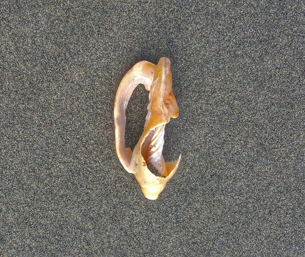 Photograph by Maja Kacprzyk