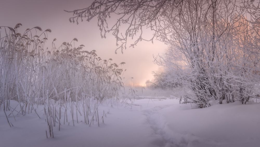 Photograph by Ekaterina Khlebnikova