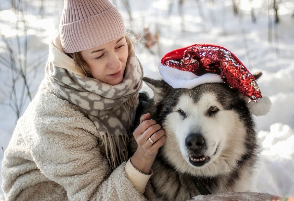 Photograph by Надежда Иголкина