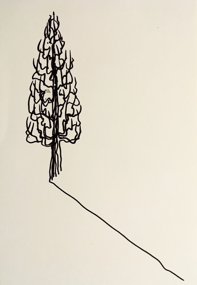 Photograph by Елена Ким