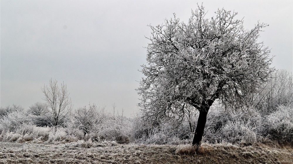 Photograph by Zdeňka Hudcová