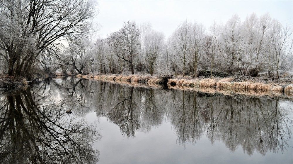 Photograph by Zdeňka Hudcová