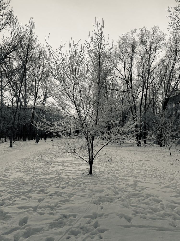 Photograph by Кузнецов Алексей