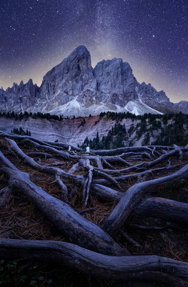 Photograph by David Ilkovic