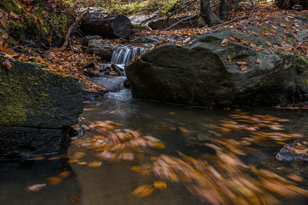 Photograph by  Dimitar