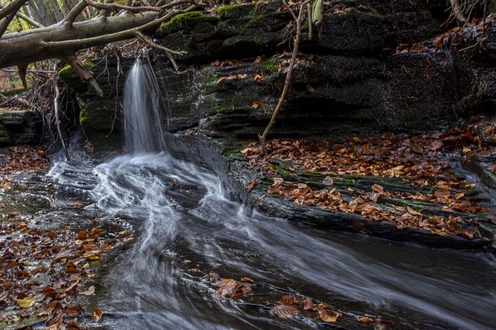 Photograph by  Dimitar