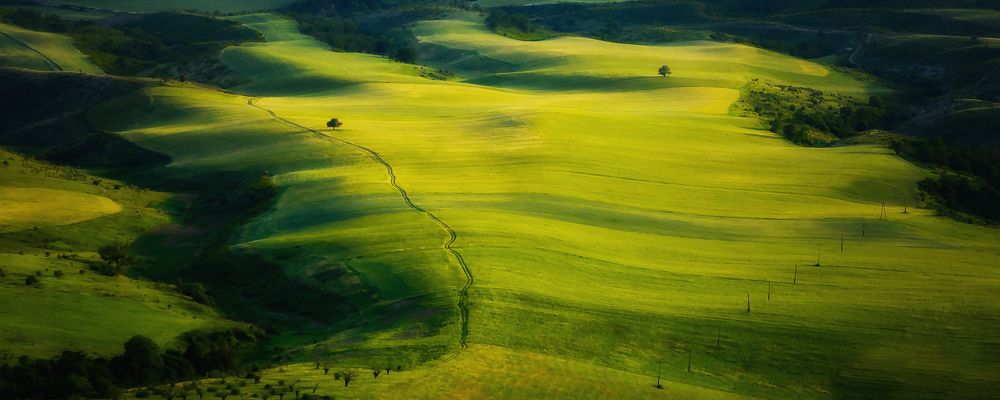 Фотография автора Севак Асрян