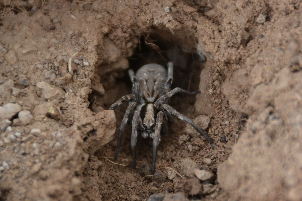 Photograph by Mohammad Amin Ghaffari