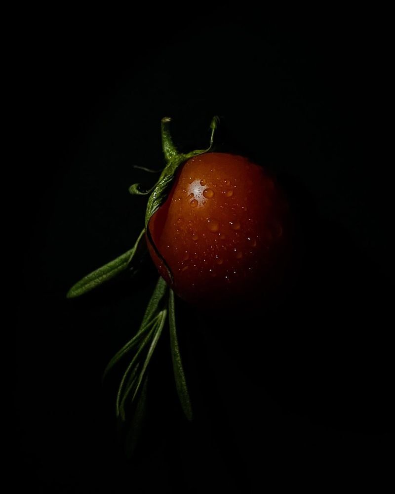 Photograph by Оксана Юсупова